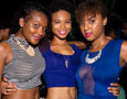 Permit Fete 2013 Pt. 2 (Grenada)