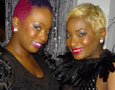 Sugarcane's Sparkle (New York)