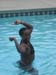 shower+pool-52