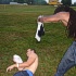 dc_taboob_2006-060