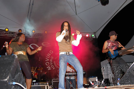amnesia_2007-227