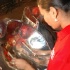 pan_semifinals_2007-096