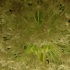 eden_may25-049