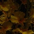 eden_may25-050