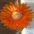 eden_may25-054