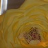 eden_may25-055