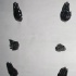 eden_may25-056
