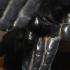 eden_may25-059