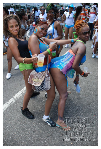 ip_mon_2008_pt1-261