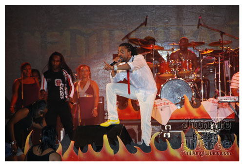 temperature_2008-131