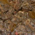 atl_pageant_may2-003