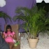bliss_all_incl_barbados_aug1-135