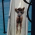 booze_cruise_2009_pt1-221