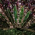 caribana_king_queen_show_2009-025