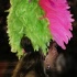 caribana_king_queen_show_2009-031