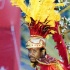 caribana_king_queen_show_2009-037