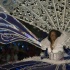caribana_king_queen_show_2009-054