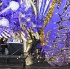 caribana_king_queen_show_2009-082