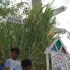 kadooment_day_2009_pt1-110