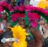 kadooment_day_2009_pt1-273