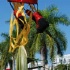 miami_broward_one_road_2009_pt3-128