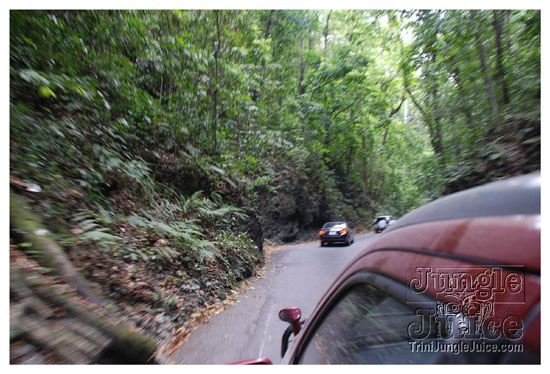 1-fern_valley-002