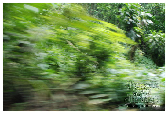 1-fern_valley-003