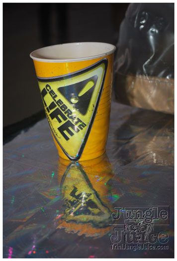 caution_2010-218