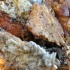 dc_carnival_2010_pt1-187