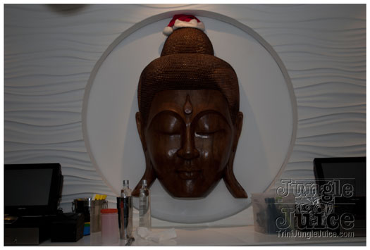 dear_santa_2010_dec25-122