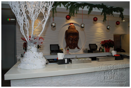 dear_santa_2010_dec25-132