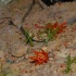dining_with_saints_2010-045