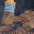 dining_with_saints_2010-059