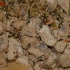 dining_with_saints_2010-114