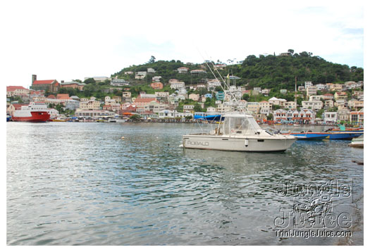 grenada_carnival_mon_aug9_2010-095