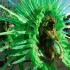 grenada_carnival_tues_aug10_pt1-097