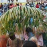 grenada_jouvert_2010-130