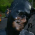 grenada_jouvert_2010-186