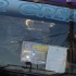 harts_mas_2010_tuesday_part1-194