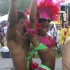 orlando_carnival_parade_2010-164
