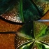 secret_fantasy_mar27-063