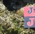 soca_at_de_sandbar_apr7-030