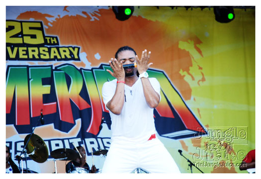 summer_jam_2010_sun-110