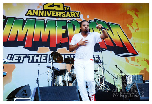 summer_jam_2010_sun-125