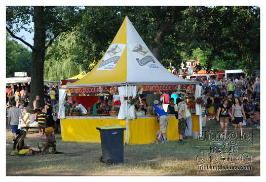 summer_jam_2010_sun-163