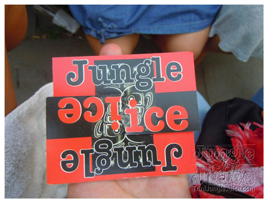 summer_jam_2010_sun-172
