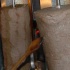 trini_posse_2010-127