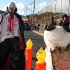 spicemas_jouvert_2011_pt1-280