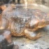 spicemas_jouvert_2011_pt2-236