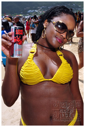 mercury_beach_2011_pt2-243